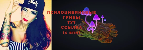 дурь Белокуриха