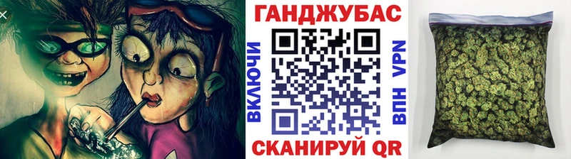 Конопля план  где продают   Городовиковск 